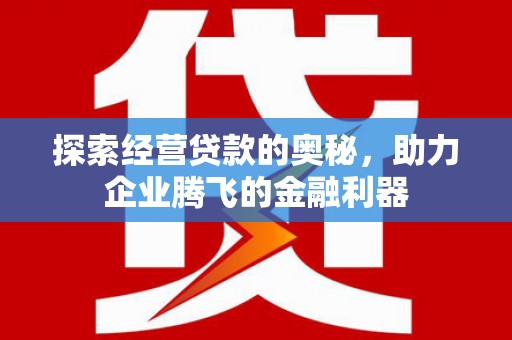 屏南探索经营贷款的奥秘，助力企业腾飞的金融利器