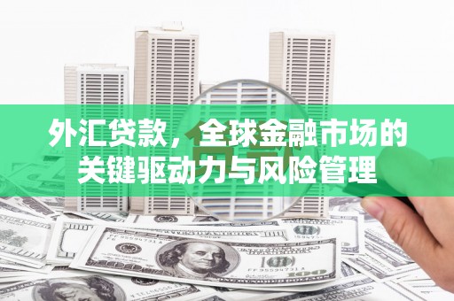 屏南外汇贷款，全球金融市场的关键驱动力与风险管理
