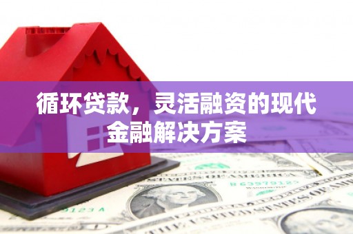 屏南循环贷款，灵活融资的现代金融解决方案