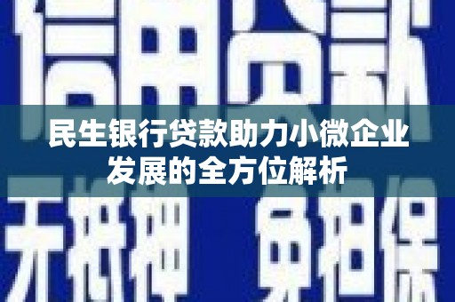 屏南民生银行贷款助力小微企业发展的全方位解析