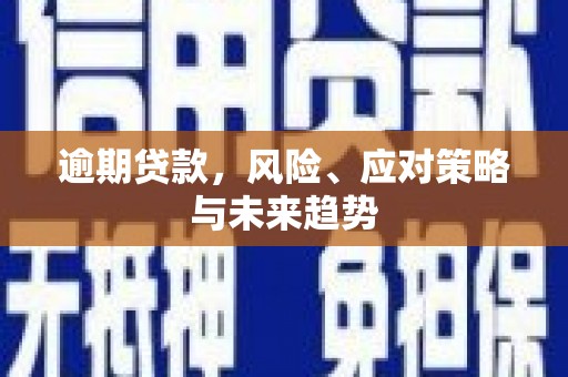 屏南逾期贷款，风险、应对策略与未来趋势