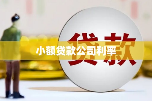 屏南小额贷款公司利率