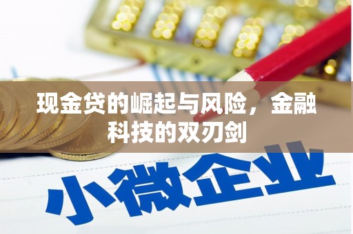 屏南现金贷的崛起与风险，金融科技的双刃剑