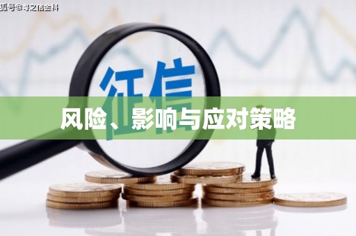 屏南风险、影响与应对策略