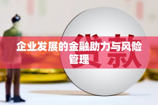 屏南企业发展的金融助力与风险管理