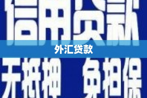 屏南外汇贷款