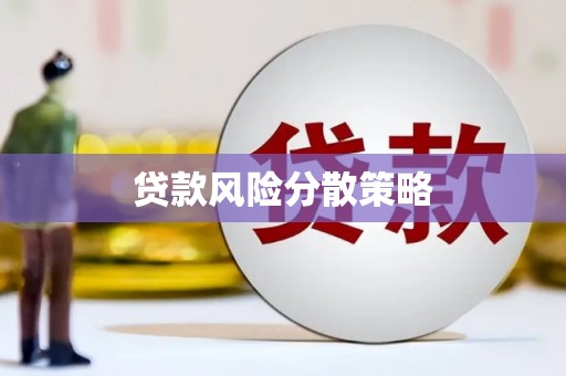 屏南贷款风险分散策略