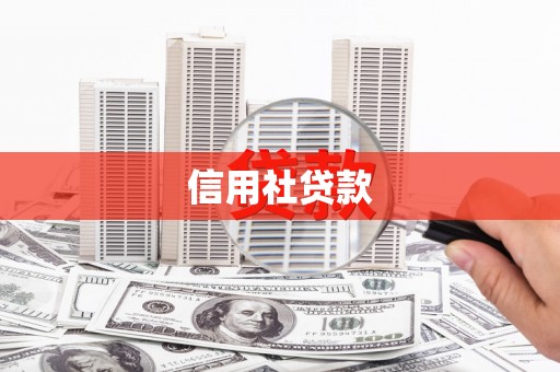 屏南信用社贷款