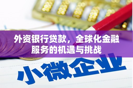 屏南外资银行贷款，全球化金融服务的机遇与挑战