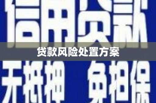 屏南贷款风险处置方案