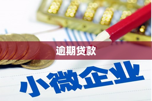 屏南逾期贷款