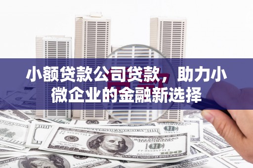屏南小额贷款公司贷款，助力小微企业的金融新选择