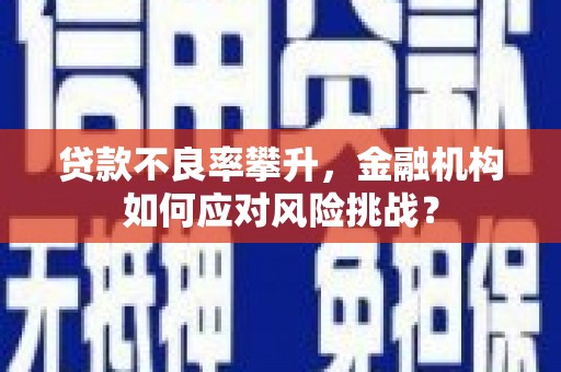 屏南贷款不良率攀升，金融机构如何应对风险挑战？