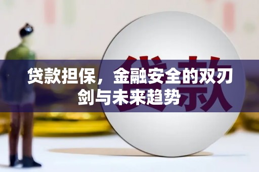 屏南贷款担保，金融安全的双刃剑与未来趋势
