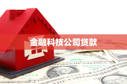 屏南金融科技公司贷款
