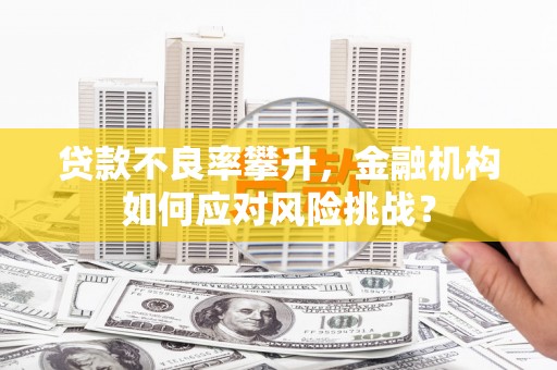 屏南贷款不良率攀升，金融机构如何应对风险挑战？