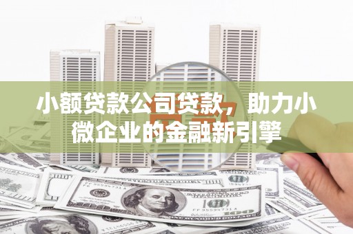 屏南小额贷款公司贷款，助力小微企业的金融新引擎