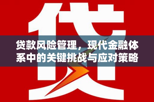 屏南贷款风险管理，现代金融体系中的关键挑战与应对策略