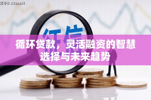 屏南循环贷款，灵活融资的智慧选择与未来趋势
