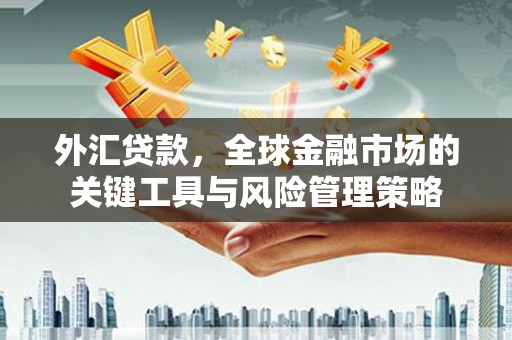 屏南外汇贷款，全球金融市场的关键工具与风险管理策略