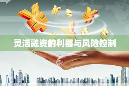 屏南灵活融资的利器与风险控制