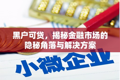 屏南黑户可贷，揭秘金融市场的隐秘角落与解决方案