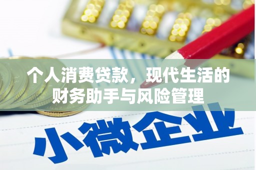屏南个人消费贷款，现代生活的财务助手与风险管理