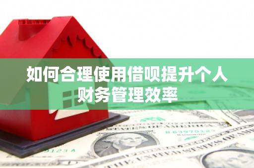 屏南如何合理使用借呗提升个人财务管理效率