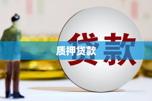 屏南质押贷款