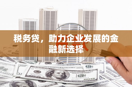 屏南税务贷，助力企业发展的金融新选择