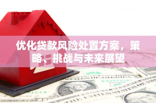 屏南优化贷款风险处置方案，策略、挑战与未来展望