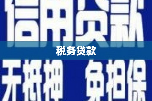 屏南税务贷款