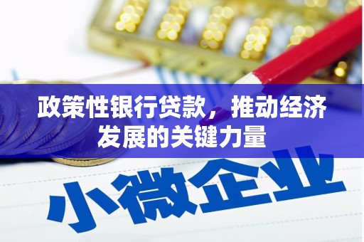 屏南政策性银行贷款，推动经济发展的关键力量