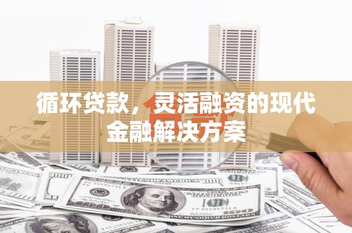 屏南循环贷款，灵活融资的现代金融解决方案