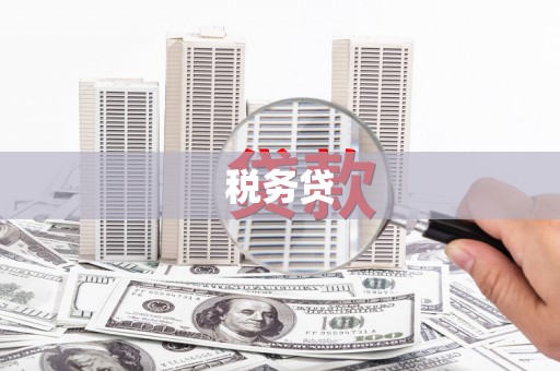 屏南税务贷