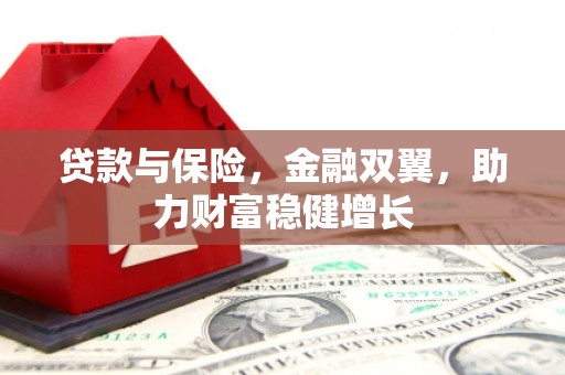 屏南贷款与保险，金融双翼，助力财富稳健增长