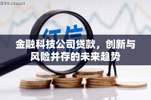 屏南金融科技公司贷款，创新与风险并存的未来趋势