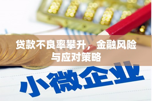 屏南贷款不良率攀升，金融风险与应对策略