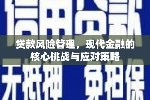 屏南贷款风险管理，现代金融的核心挑战与应对策略