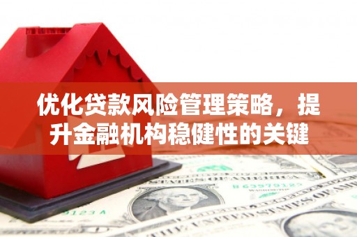 屏南优化贷款风险管理策略，提升金融机构稳健性的关键