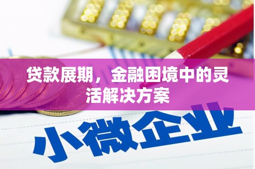 屏南贷款展期，金融困境中的灵活解决方案