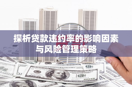 屏南探析贷款违约率的影响因素与风险管理策略