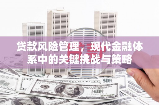 屏南贷款风险管理，现代金融体系中的关键挑战与策略