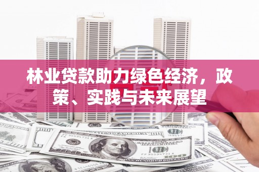 屏南林业贷款助力绿色经济，政策、实践与未来展望