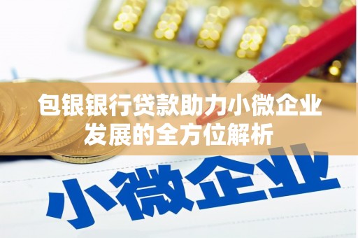 屏南包银银行贷款助力小微企业发展的全方位解析