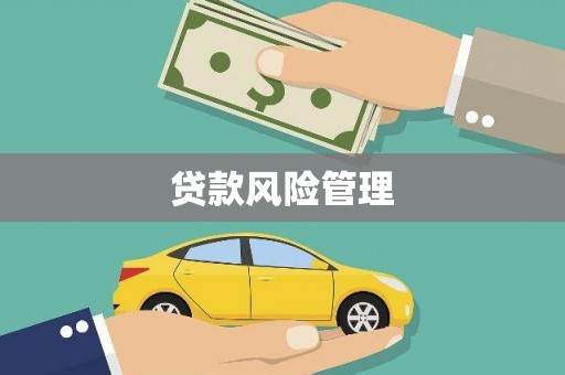 屏南贷款风险管理