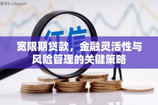 屏南宽限期贷款，金融灵活性与风险管理的关键策略