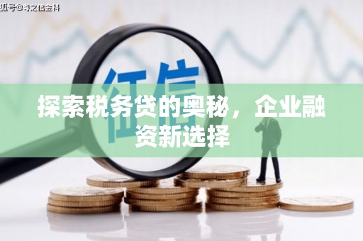 屏南探索税务贷的奥秘，企业融资新选择