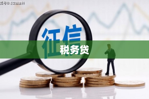 屏南税务贷