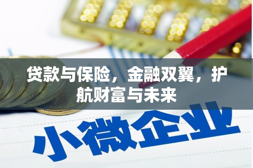 屏南贷款与保险，金融双翼，护航财富与未来